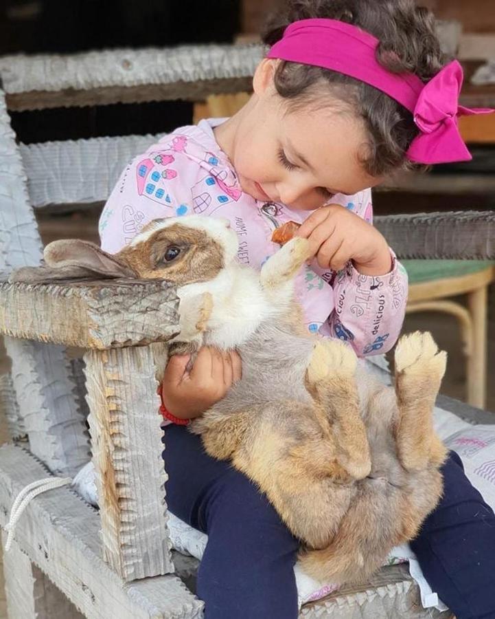Etno Village Katun Žabljak Zewnętrze zdjęcie