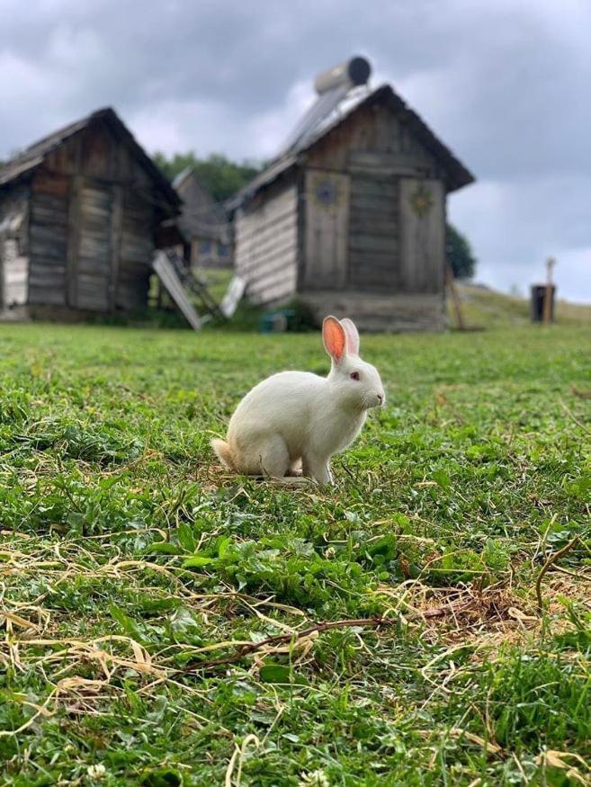 Etno Village Katun Žabljak Zewnętrze zdjęcie