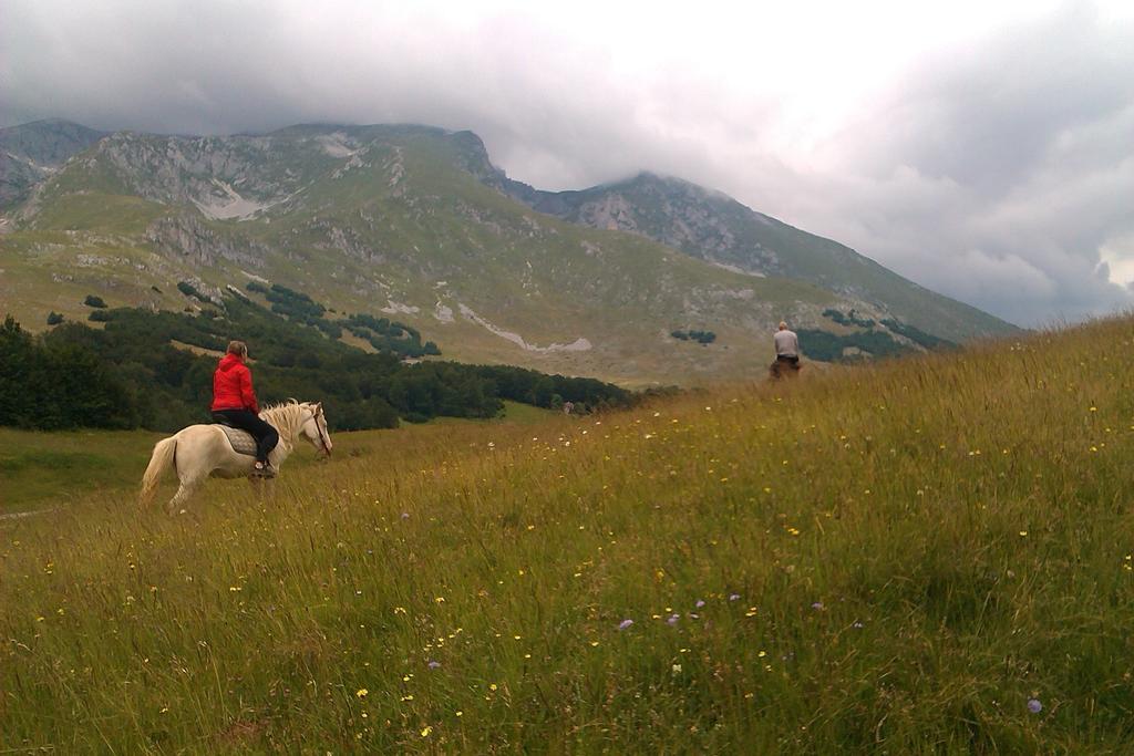 Etno Village Katun Žabljak Zewnętrze zdjęcie