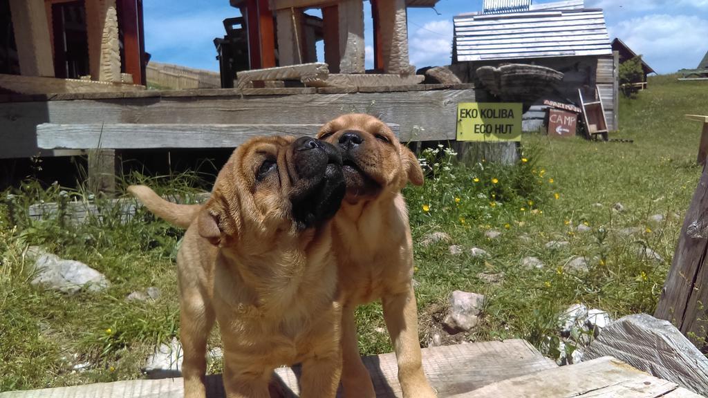 Etno Village Katun Žabljak Zewnętrze zdjęcie