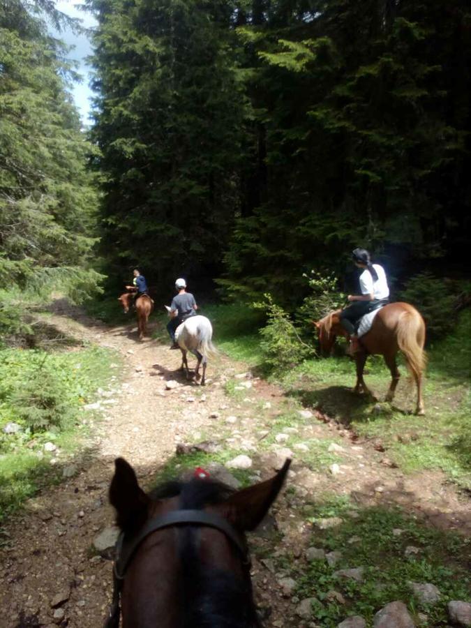 Etno Village Katun Žabljak Zewnętrze zdjęcie